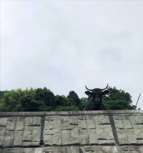 銭壺山 牛 | 岩国市で新築一戸建てならネストハウス