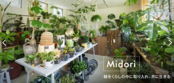 Midori | 岩国市で新築平屋ならネストハウス