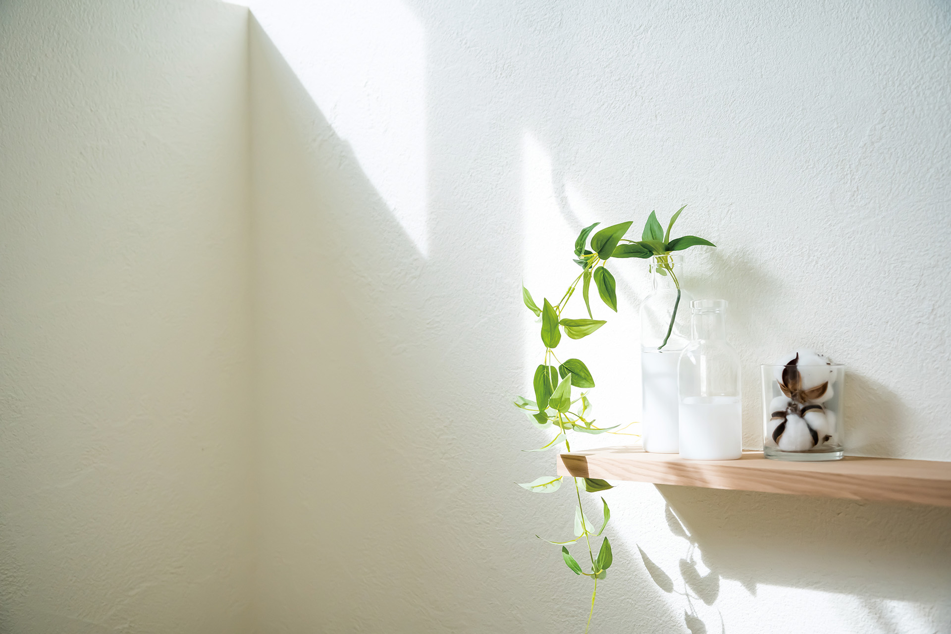人にも地球にもやさしいホタテ漆喰