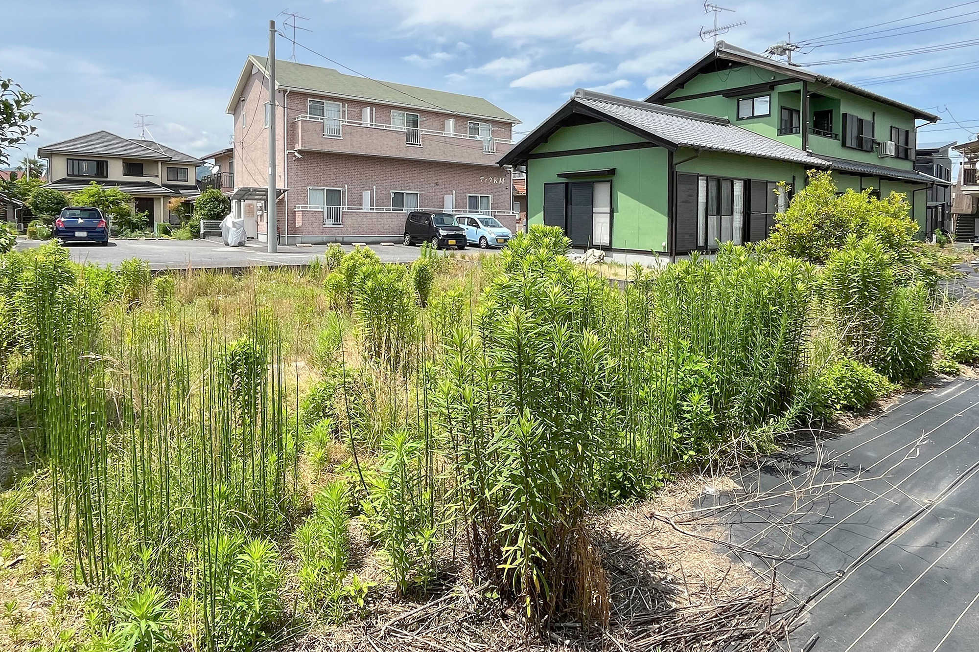 門前町3丁目58坪売地 | 岩国市で門前の土地探しならネストハウス